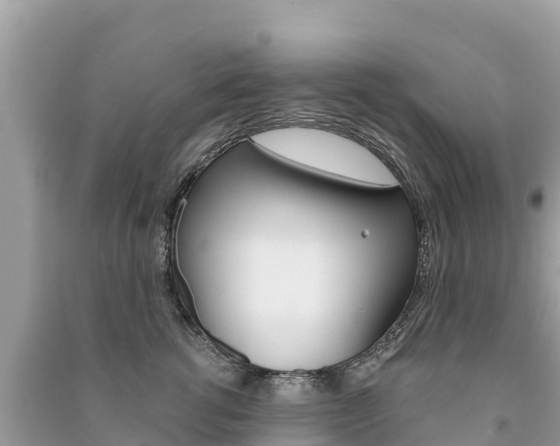 X0000091300762200708101047