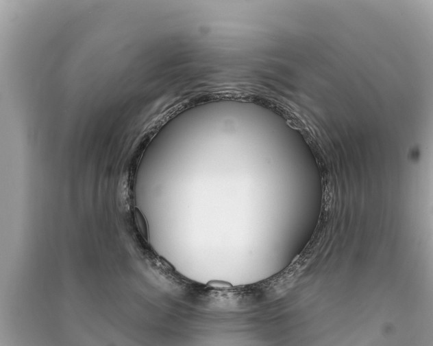 X0000091300764200708101047