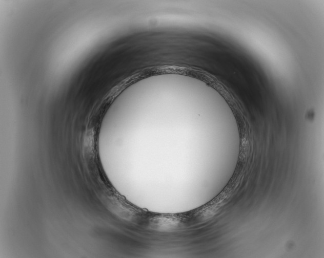 X0000091300765200708101047