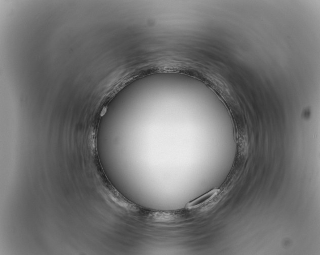 X0000091300766200708101047