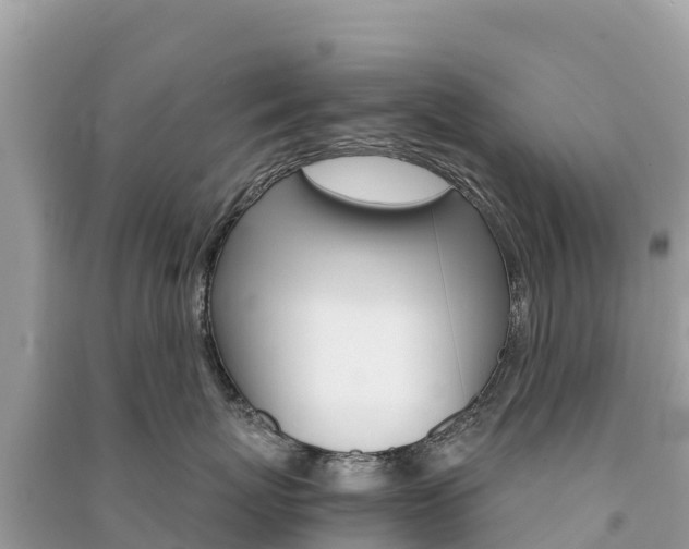 X0000091300767200708101047
