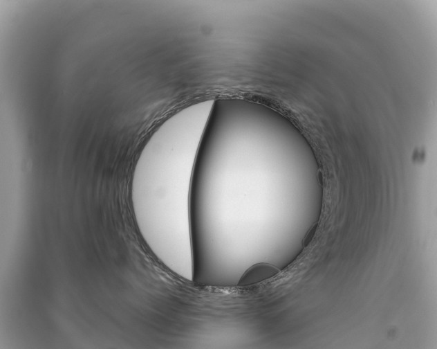 X0000091300768200708101047