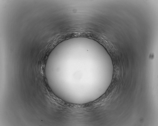 X0000091300770200708101047