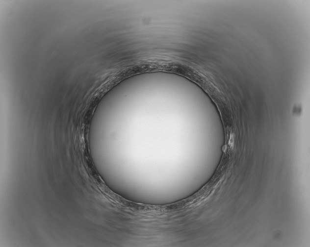 X0000091300771200708101047