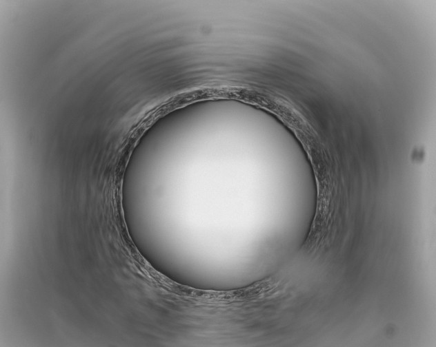X0000091300773200708101047