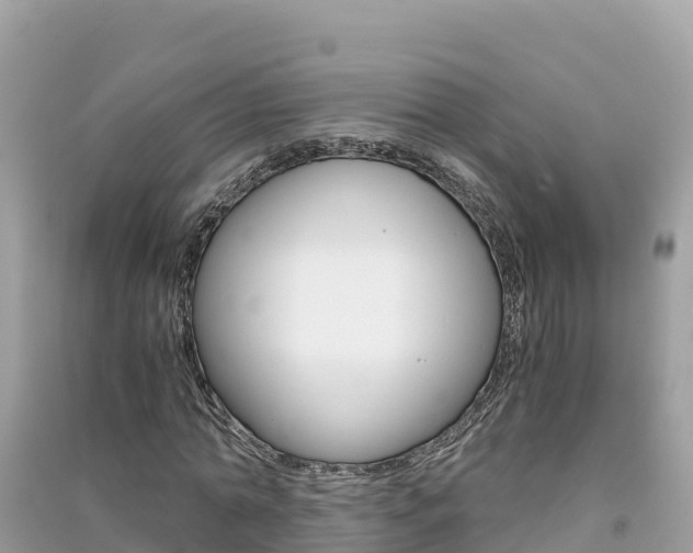 X0000091300774200708101047