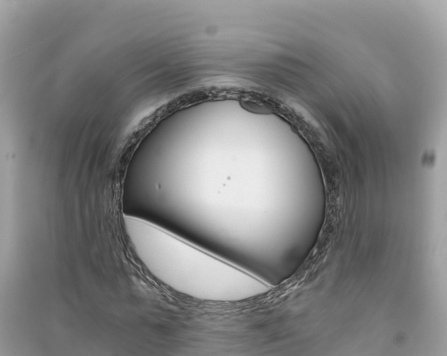 X0000091300775200708101047