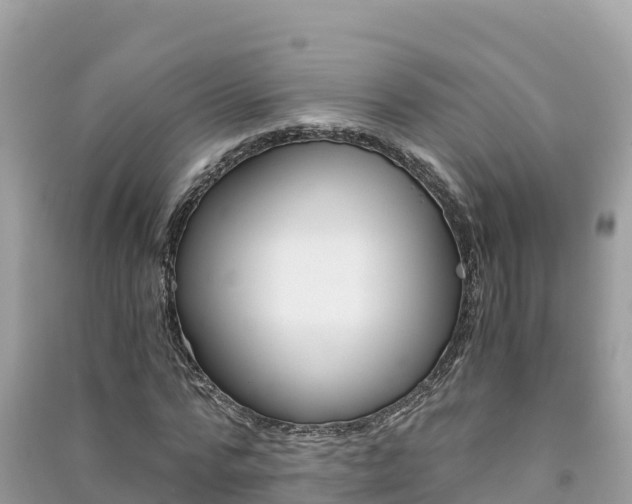 X0000091300776200708101047