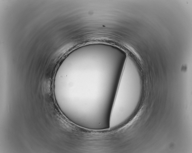X0000091300777200708101047