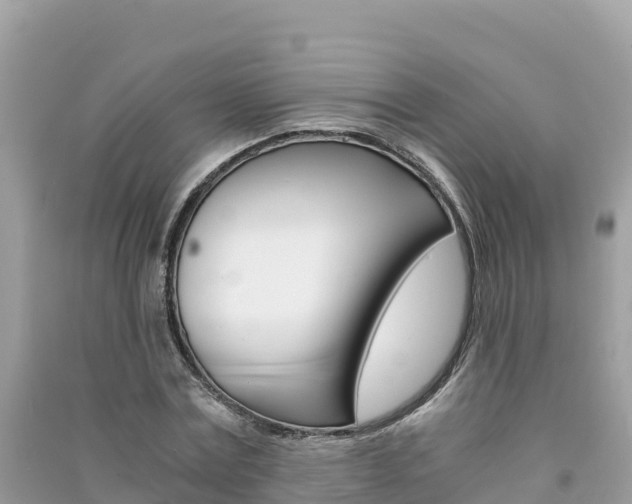X0000091300779200708101047