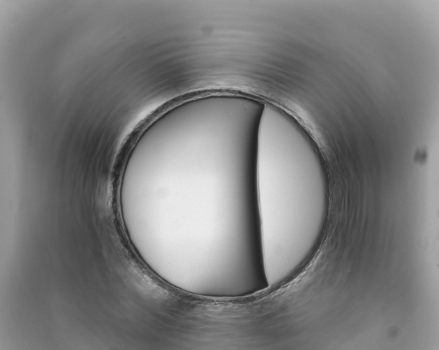 X0000091300780200708101047