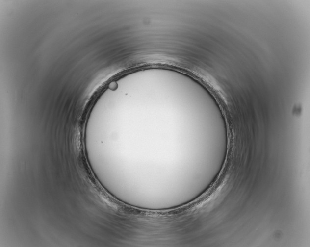 X0000091300782200708101047