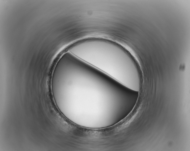 X0000091300783200708101047