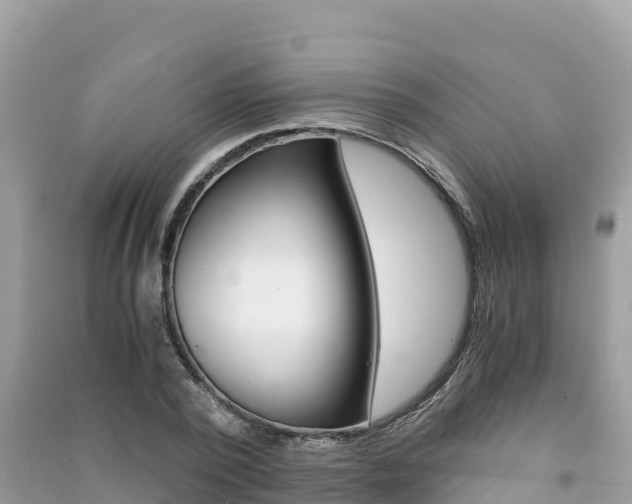 X0000091300784200708101047