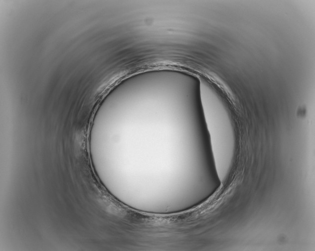 X0000091300785200708101047