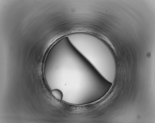 X0000091300786200708101047