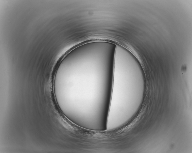 X0000091300787200708101047