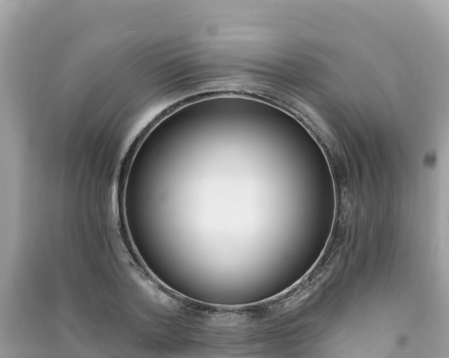 X0000091300788200708101047