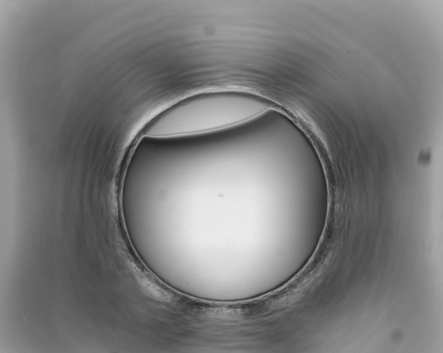 X0000091300789200708101047