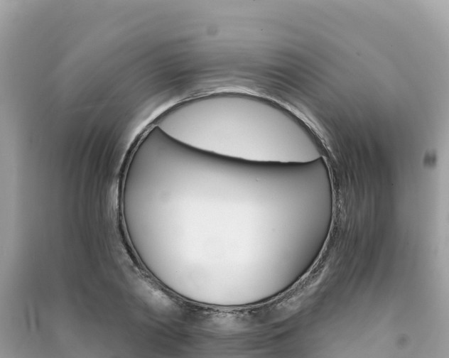 X0000091300790200708101047