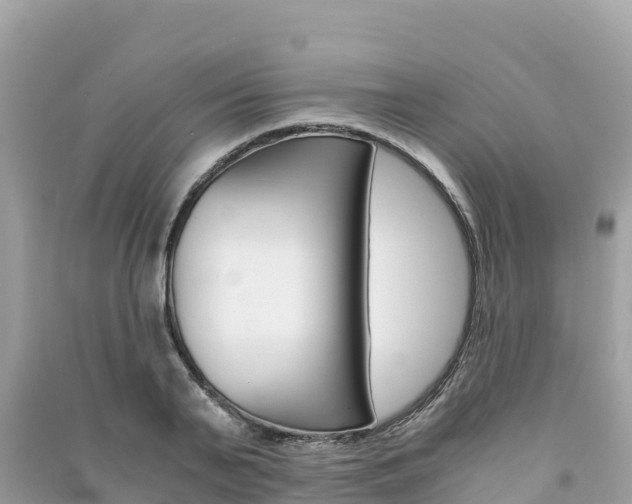 X0000091300791200708101047