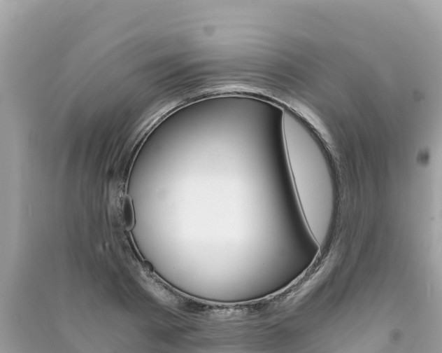 X0000091300793200708101047