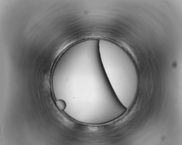 X0000091300794200708101047