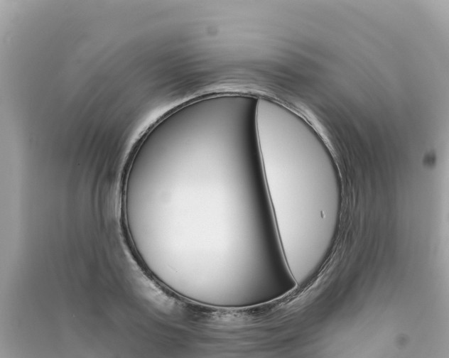X0000091300795200708101047