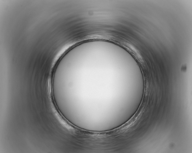 X0000091300796200708101047