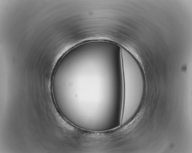 X0000091300797200708101047