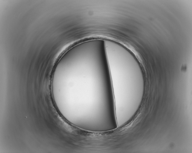 X0000091300799200708101047