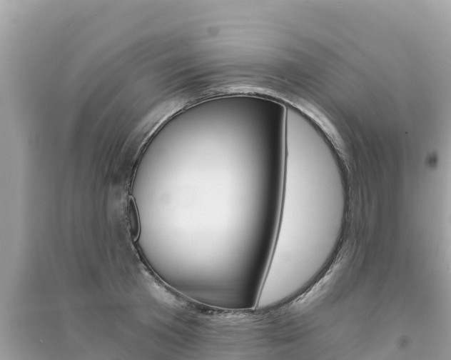 X0000091300801200708101046