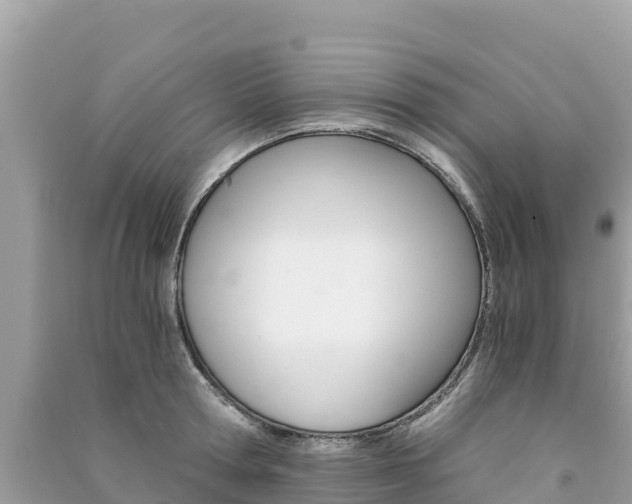 X0000091300802200708101046
