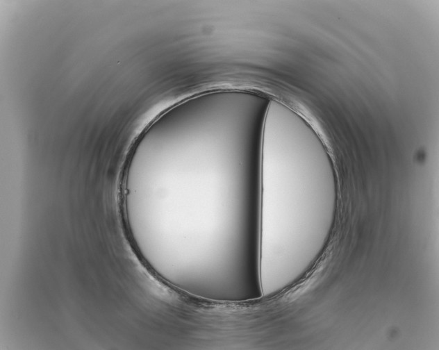 X0000091300803200708101046