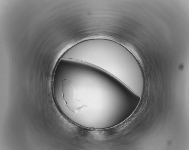 X0000091300805200708101046