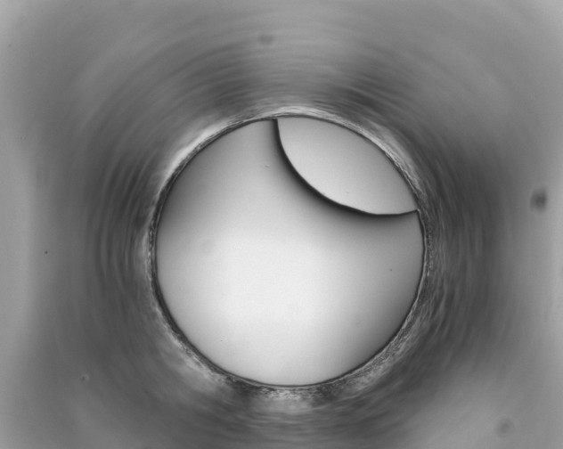X0000091300806200708101046