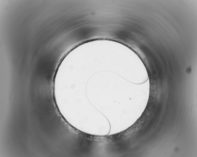X0000091300807200708101046