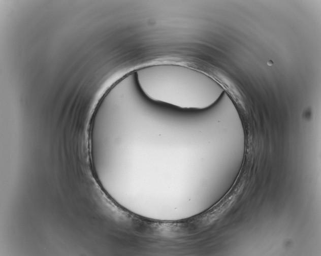 X0000091300808200708101046