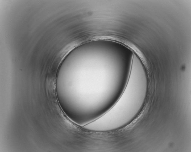 X0000091300809200708101046
