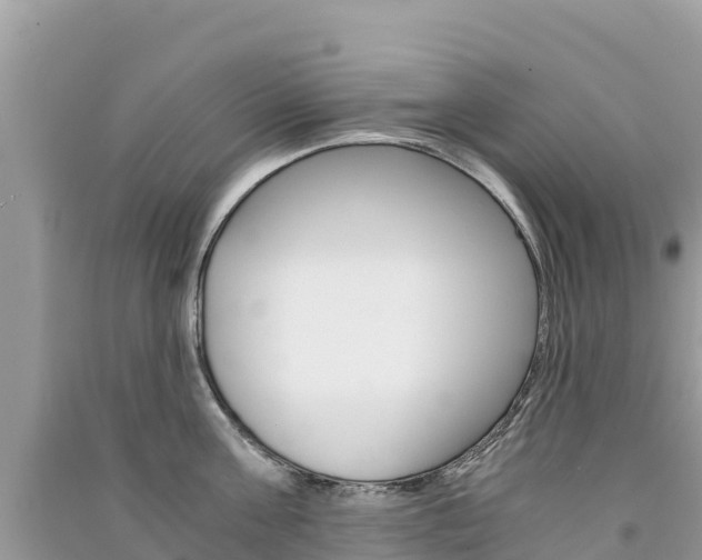 X0000091300811200708101046