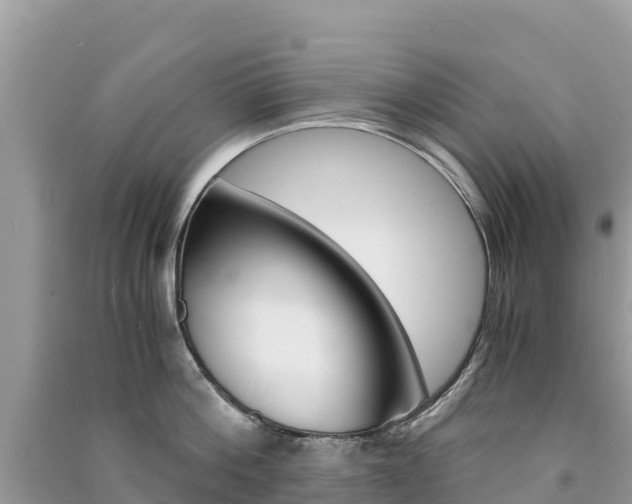 X0000091300812200708101046