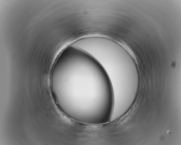X0000091300813200708101046