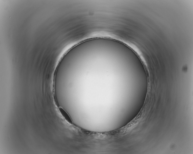 X0000091300815200708101046