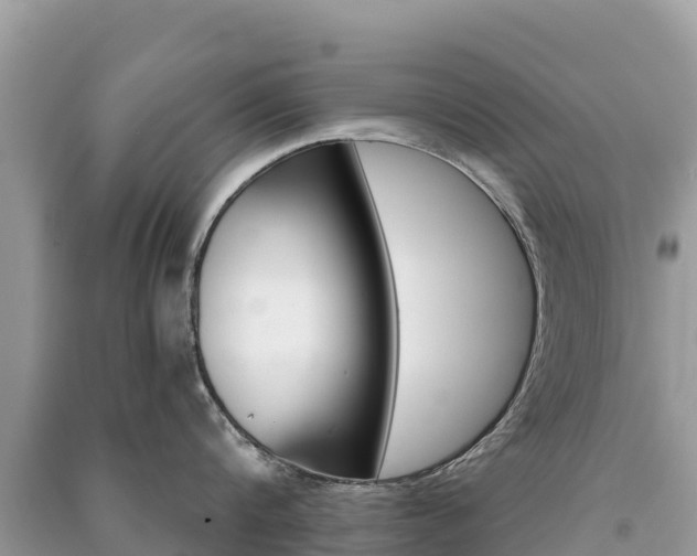 X0000091300816200708101046