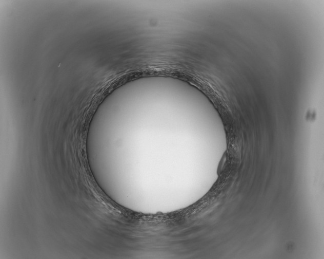 X0000091300817200708101046