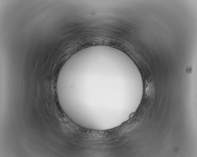 X0000091300819200708101046