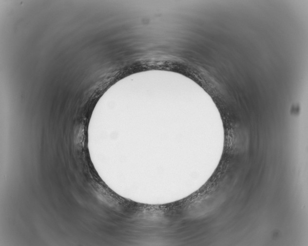 X0000091300820200708101046