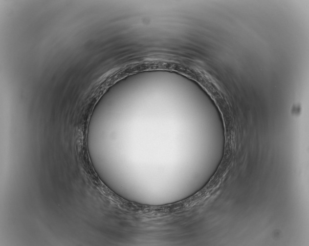 X0000091300821200708101046