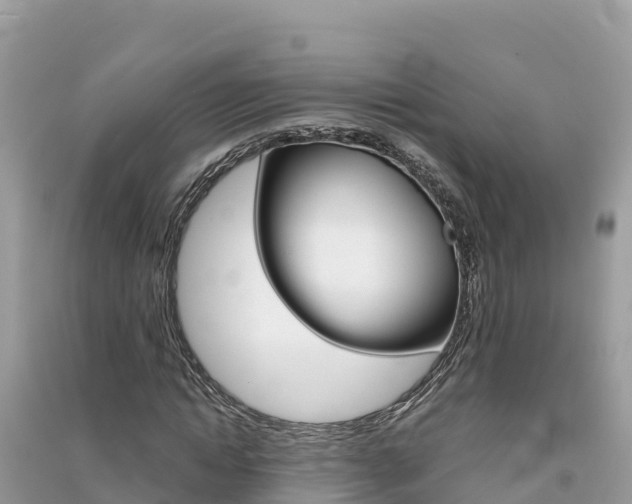 X0000091300822200708101046