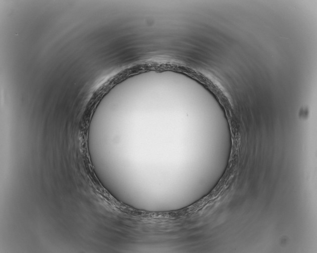 X0000091300823200708101046